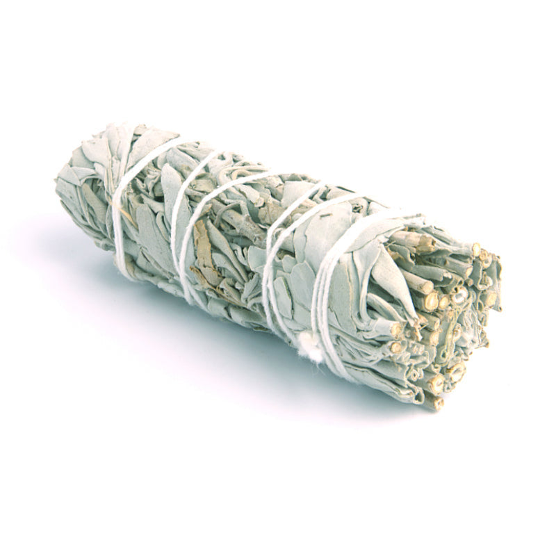 Sauge Blanche
