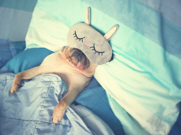Les pierres de convalescence