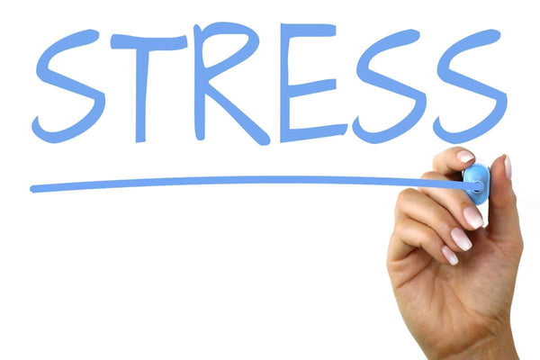 Pierres contre le stress - Biomineral