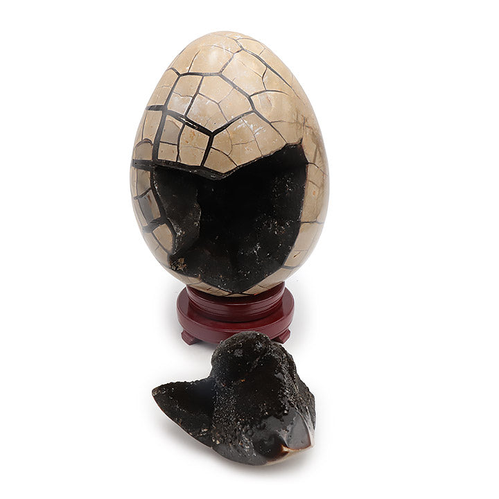 Oeuf Septaria Sauvage A+ 15 480G