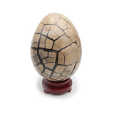 Oeuf Septaria Sauvage A+ 15 480G