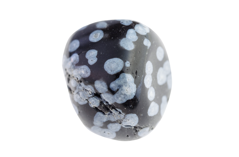 l’Obsidienne Neige